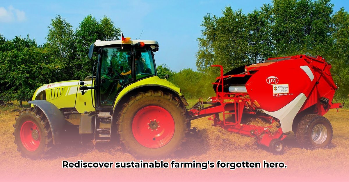 harry-tractor-trekker